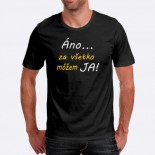Pánske humorné tričko s výšivkou: Áno... Za všetko môžem JA!